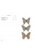 Papillons de nuit d'Europe - Volume 1 : Bombyx, Sphinx, Ecailles...