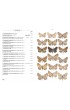 Papillons de nuits d'Europe - Volume 2 : Géomètres