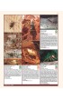 Insectes ravageurs et maladies des arbres et arbustes d’Europe