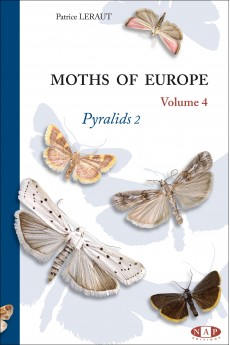 Moths of Europe - Volume 4 : Pyralids 2