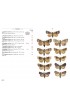 Moths of Europe - Volume 5 : Noctuids 1