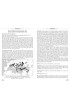 Bourdons d'Europe et des contrées voisines - Hyménoptères d'Europe • 3