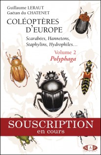 Coléoptères d'Europe - Scarabées, Hannetons, Staphylins - Volume 2 Polyphaga
