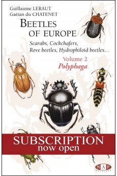 Beetles of Europe - Scarabs, Cockchafers, Rove beeltes, Hydrphiloid - Volume 2 Polyphaga