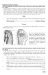 Tarantulas of the world - Volume 2