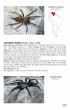 Tarantulas of the world - Volume 2