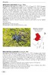 Tarantulas of the world - Volume 2