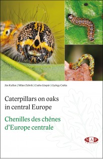 Chenilles des Ch&ecirc;nes d'Europe centrale