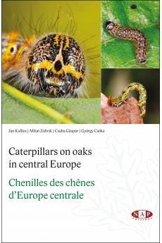 Chenilles des Ch&ecirc;nes d'Europe centrale