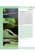 Caterpillars on oaks in central Europe